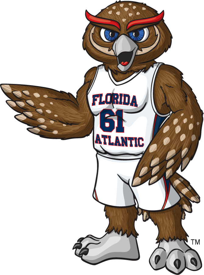 Florida Atlantic Owls 2014-2015 Mascot Logo iron on transfers for T-shirts